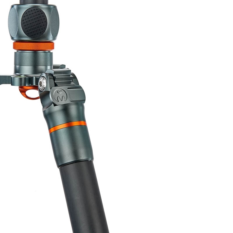 Trépied 3 Legged Thing Pro 2.0 Albert Carbon + AirHed Pro Grey