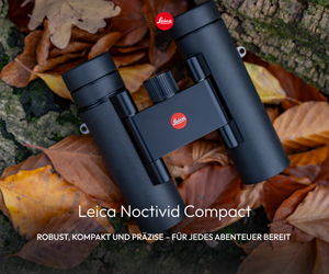 LEICA NOCTIVID COMPACT 8x25 (schwarz, gummiert) inkl. Premium Reinigungsset
