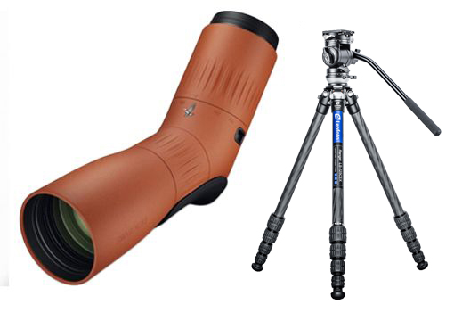 Swarovski ATC 17-40X56 Burnt Orange + Leofoto LS-225CEX BV-1R