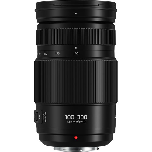Panasonic Lumix G Vario 100-300 mm f/4,0-5,6 OIS II