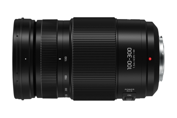 Panasonic Lumix G Vario 100-300 mm f/4,0-5,6 OIS II