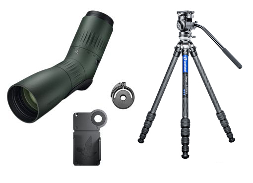 Swarovski ATC 17-40x56 Grün Scoping-Set (inkl. Swarovski VPA 2, CA-S Klemmadapter, Leofoto LS-225CEX BV-1R)
