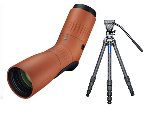 Swarovski ATC 17-40X56 Burnt Orange + Leofoto LS-255CEX BV-5