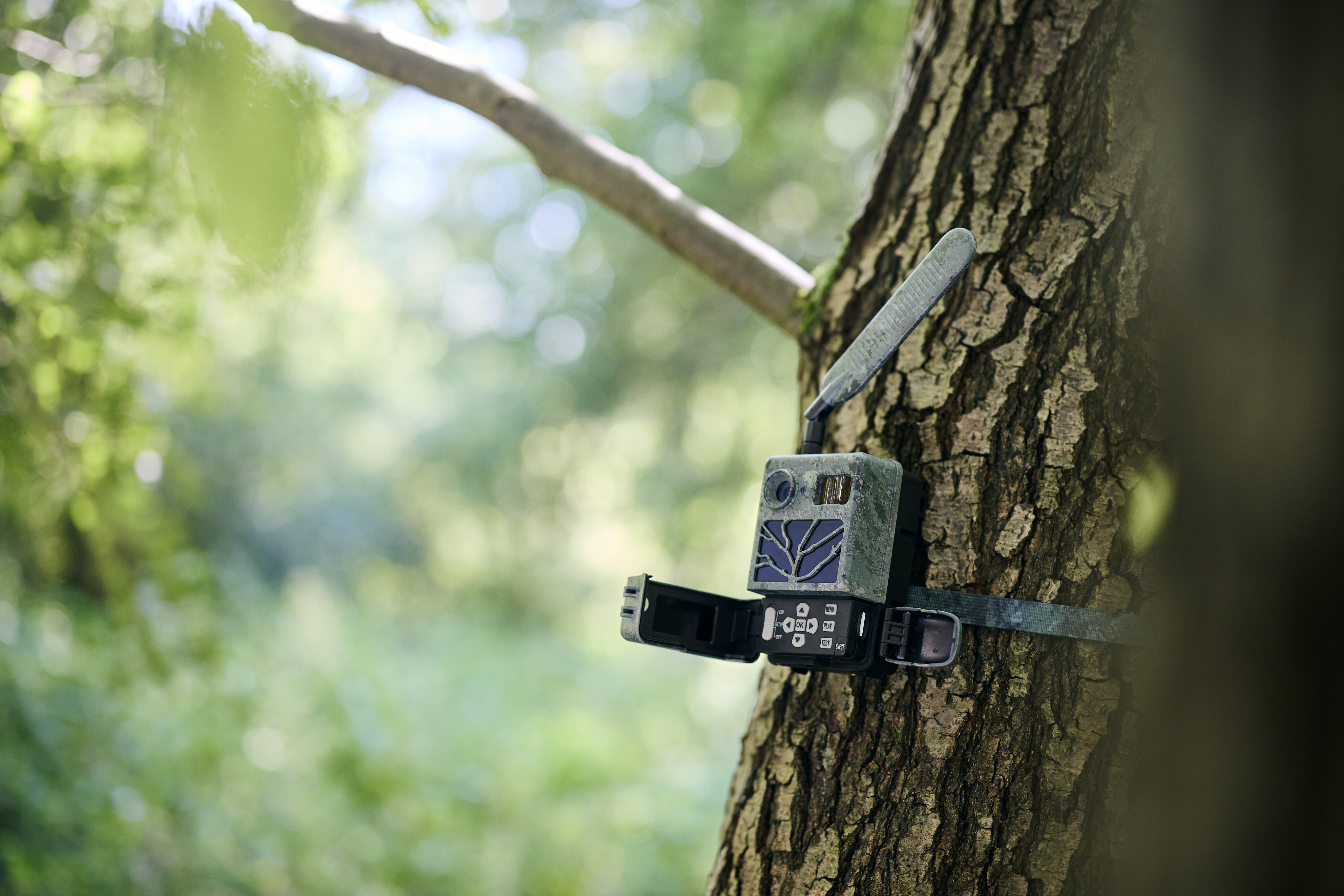 ZEISS Secacam Wildkamera mit Antenne, befestigt an einem Baumstamm, geöffnet zur Bedienung.