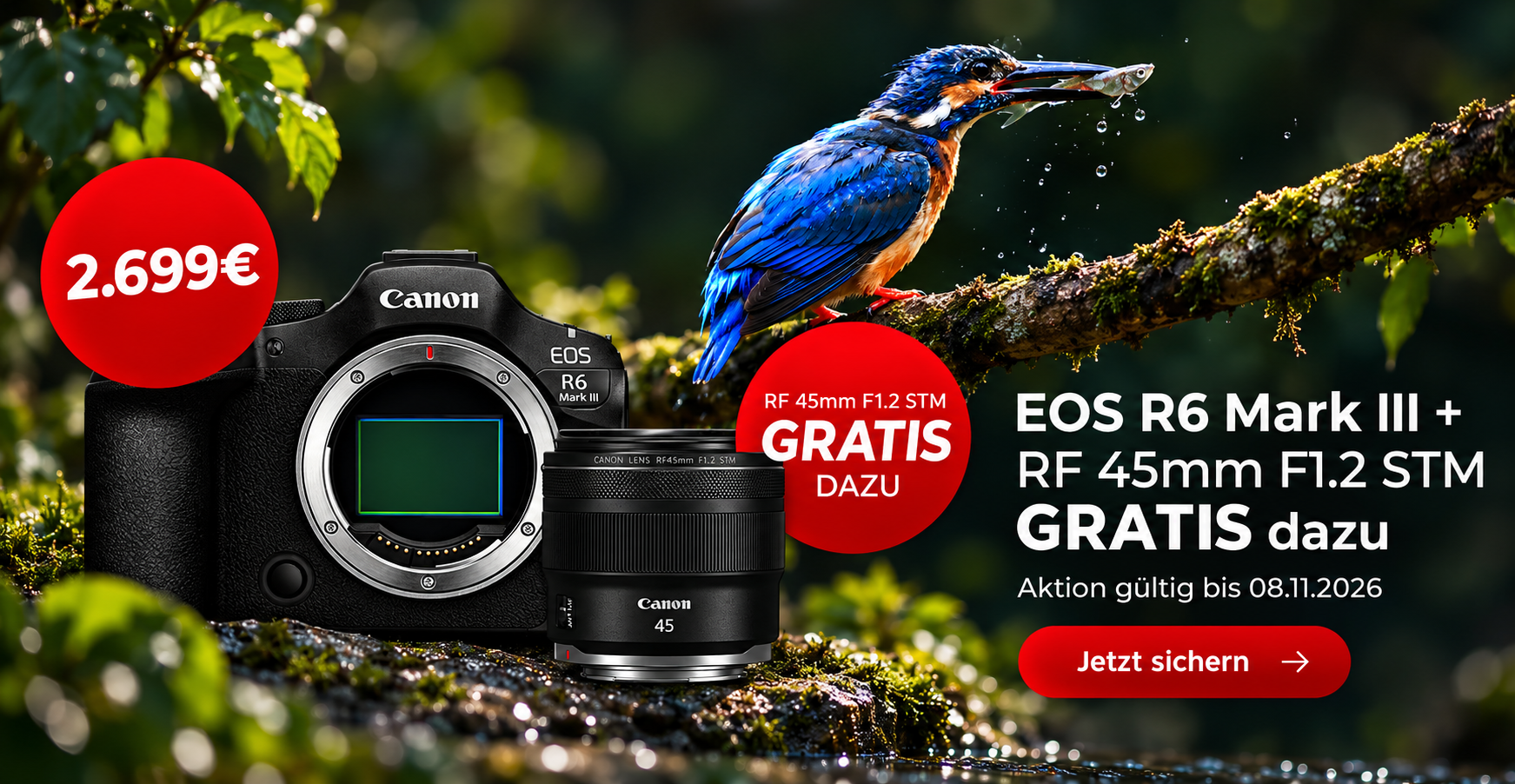 Canon EOS R6 Mark III mit RF 45mm F1.2 STM Gratis-Objektiv für 2.699 €. Canon-Aktion bis 08.11.2026 mit Eisvogel-Motiv.
