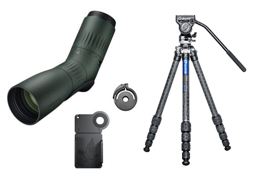 Swarovski ATC 17-40x56 Grün Scoping-Set (inkl. Swarovski VPA 2, CA-S Klemmadapter, Leofoto LS-255CEX BV-5)