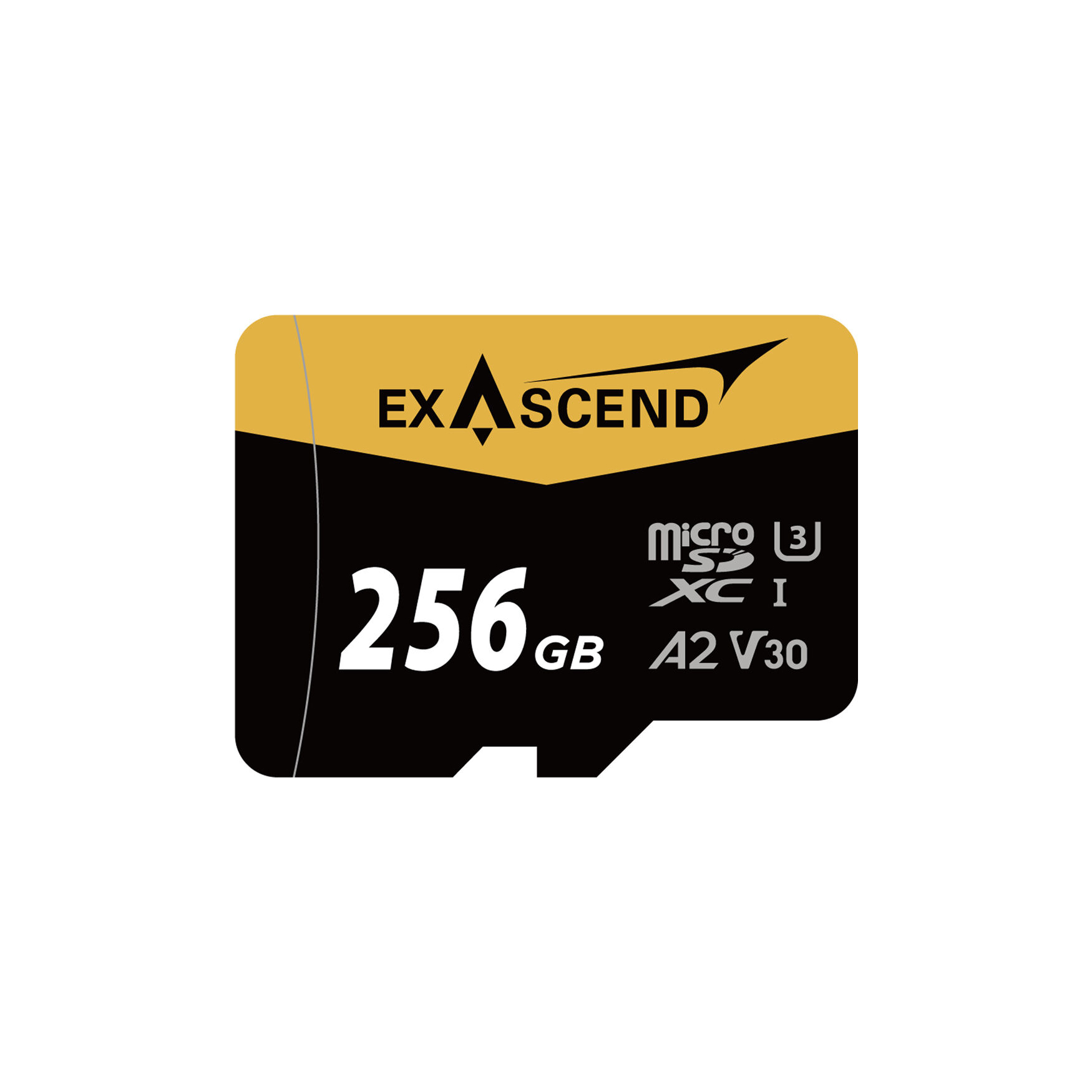 Exascend Catalyst UHS-I MicroSD card(V30) 256GB