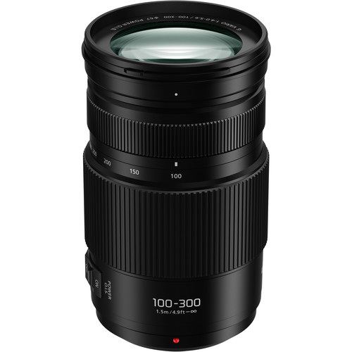 Panasonic Lumix G Vario 100-300 mm f/4,0-5,6 OIS II